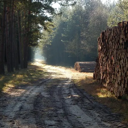 Am Wald Mit Klavier, Holzofen, Sauna *
