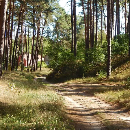 Am Wald Mit Klavier, Holzofen, Sauna