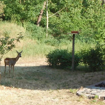 Prázdninový dům Am Wald Mit Klavier, Holzofen, Sauna Alt Jabel